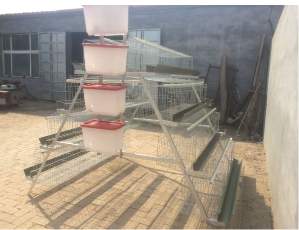 Layer Cages for Sale in Kenya