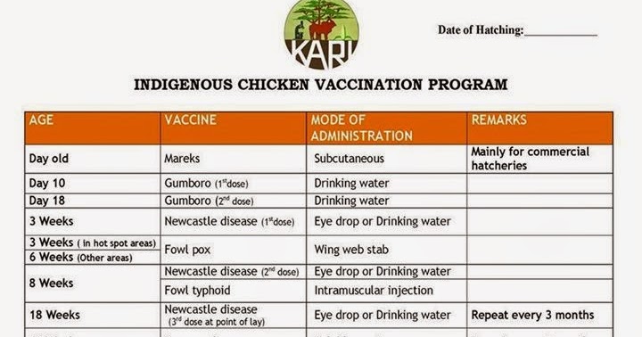 Kienyeji Chicken Vaccination Program