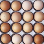 Egg production in Kenya