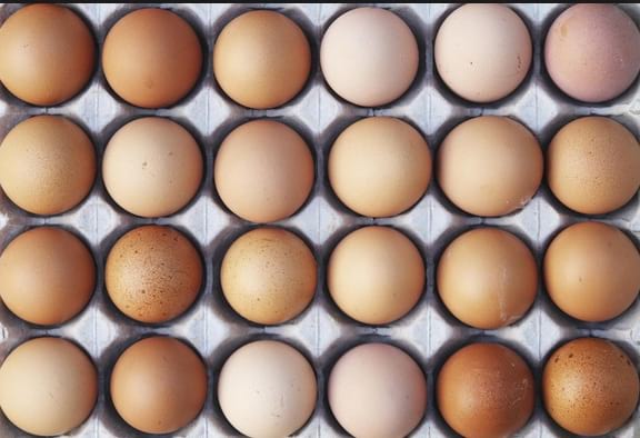 Egg production in Kenya