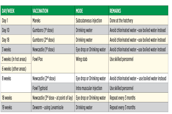 Kienyeji Chicken Vaccination Schedule
