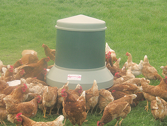 Poultry Range Feeders
