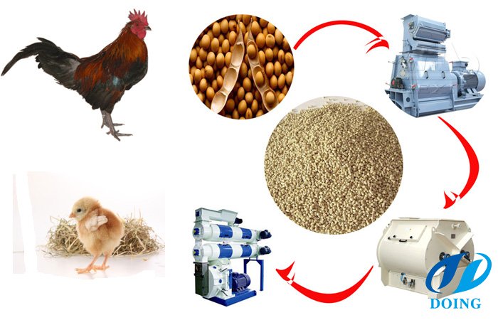Kienyeji Chicken Feed Formulation