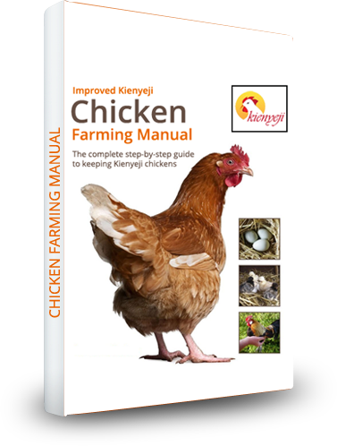 free-chicken-farming-ebook